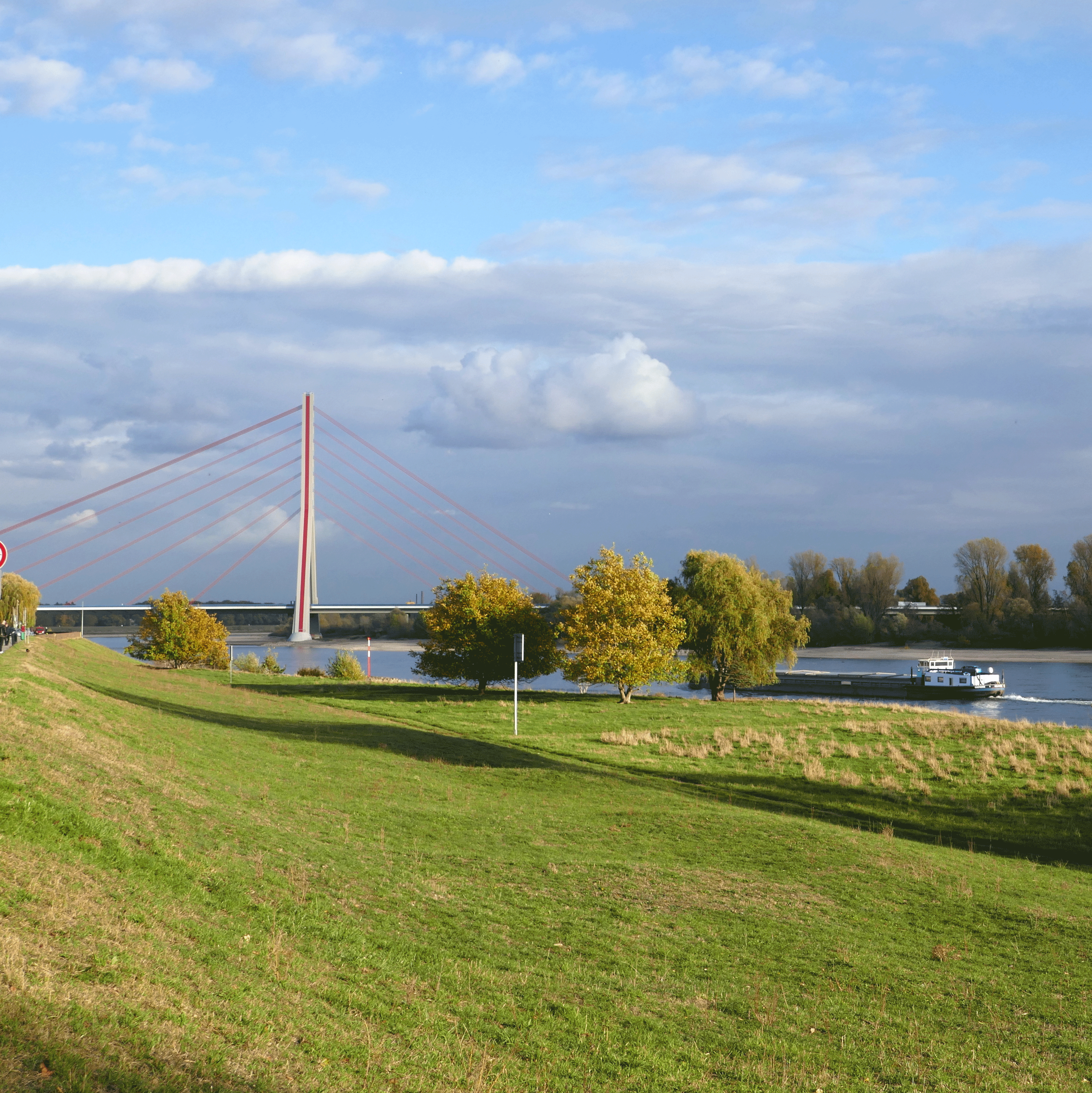 P1090635-001
