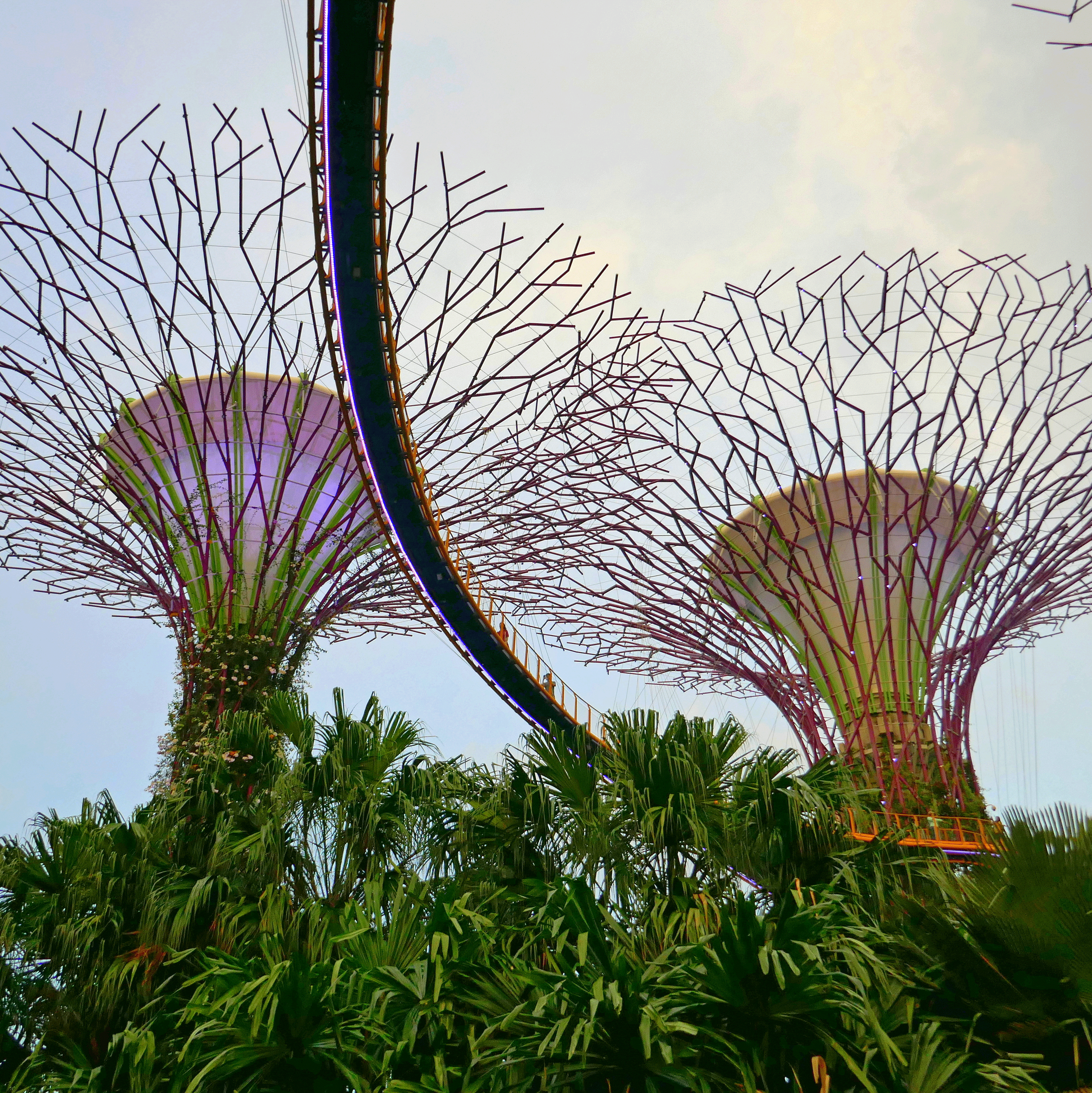 singapur_homepage_-012