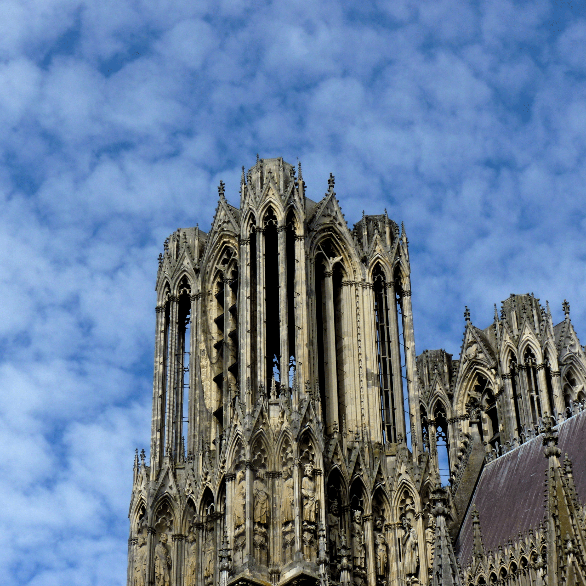 P1190758-001
