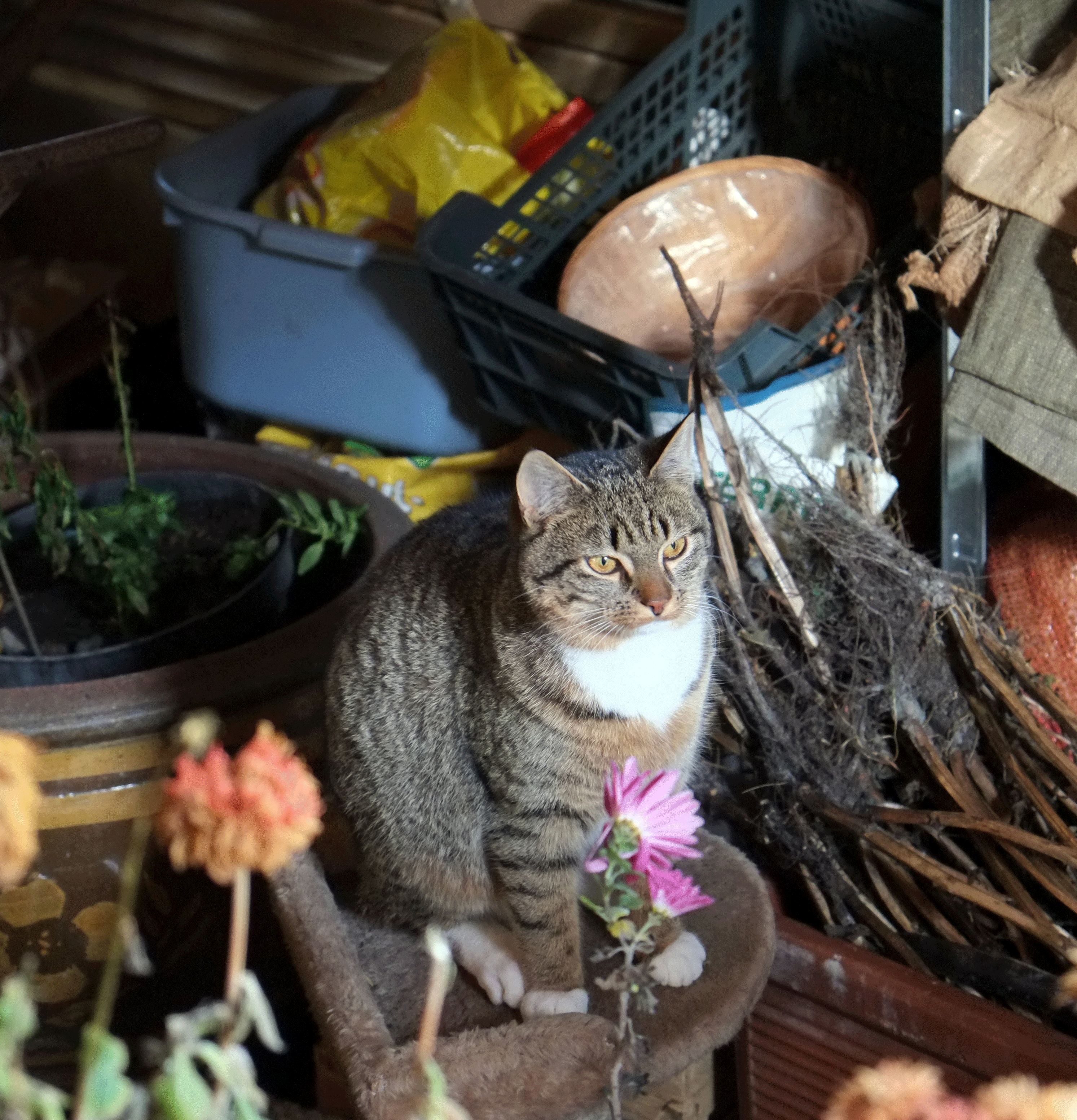 DSCF0131-001