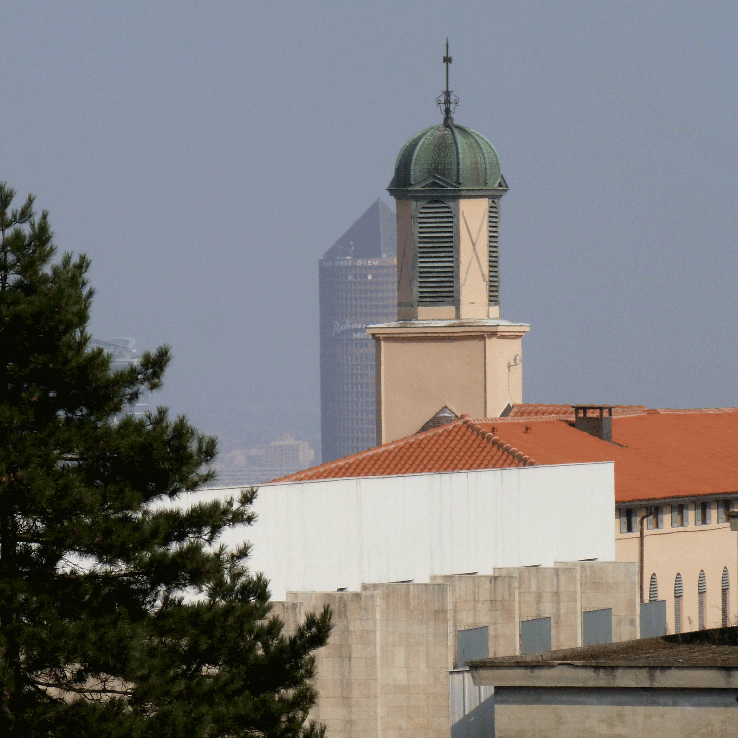 P1010249-001