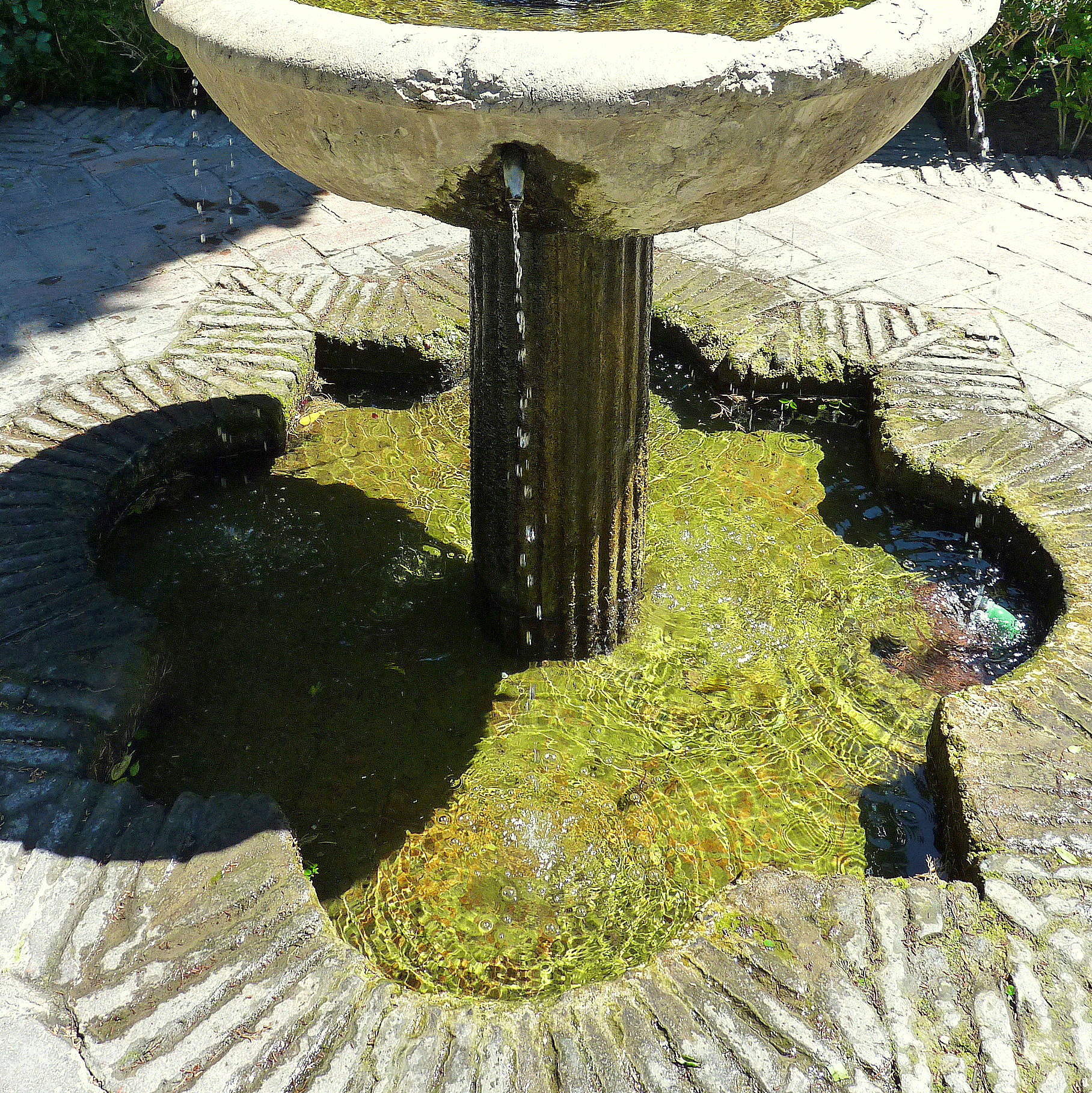 P1050635