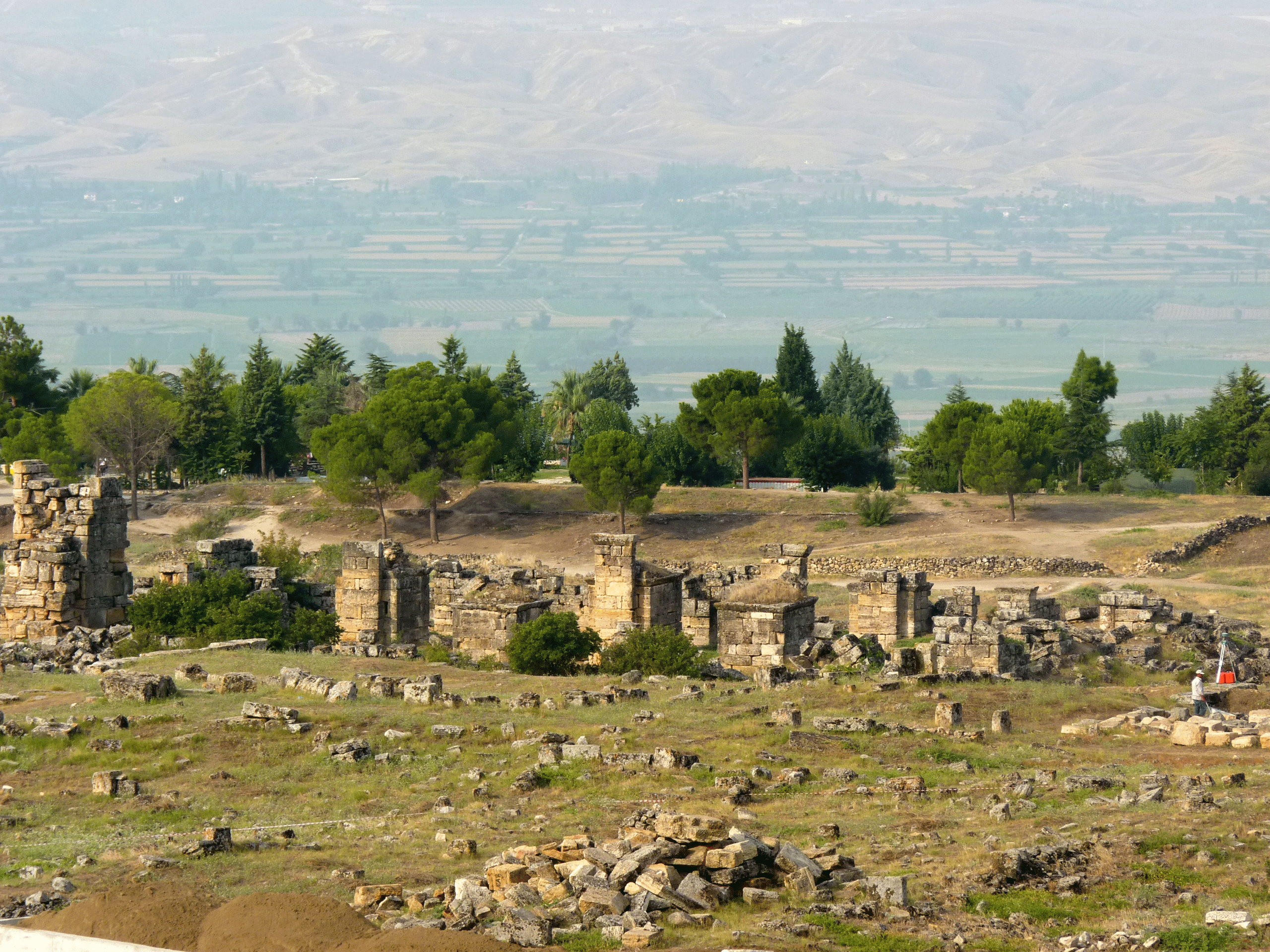 P1010645-001