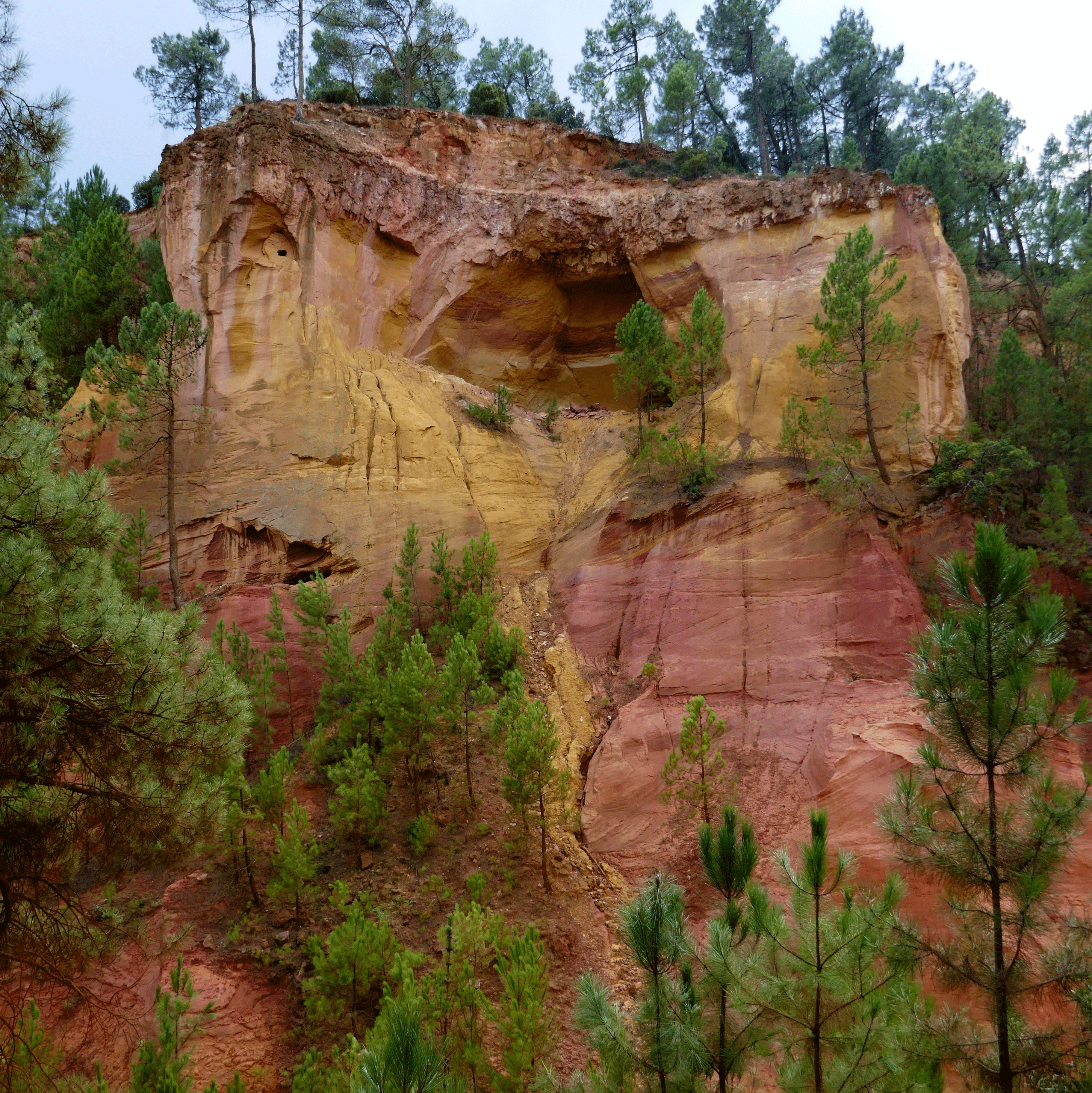 P1080975-001