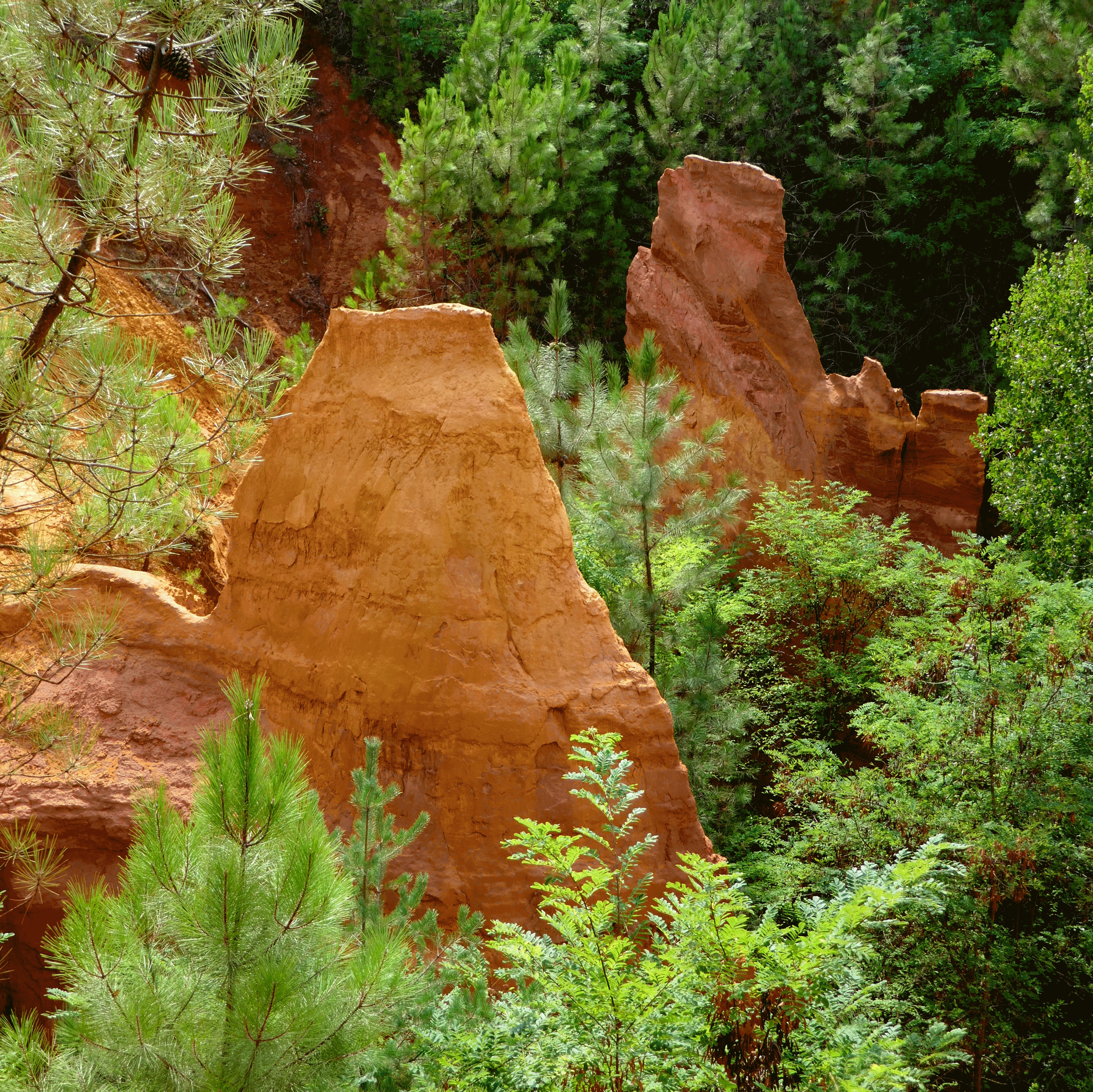 P1080994-001