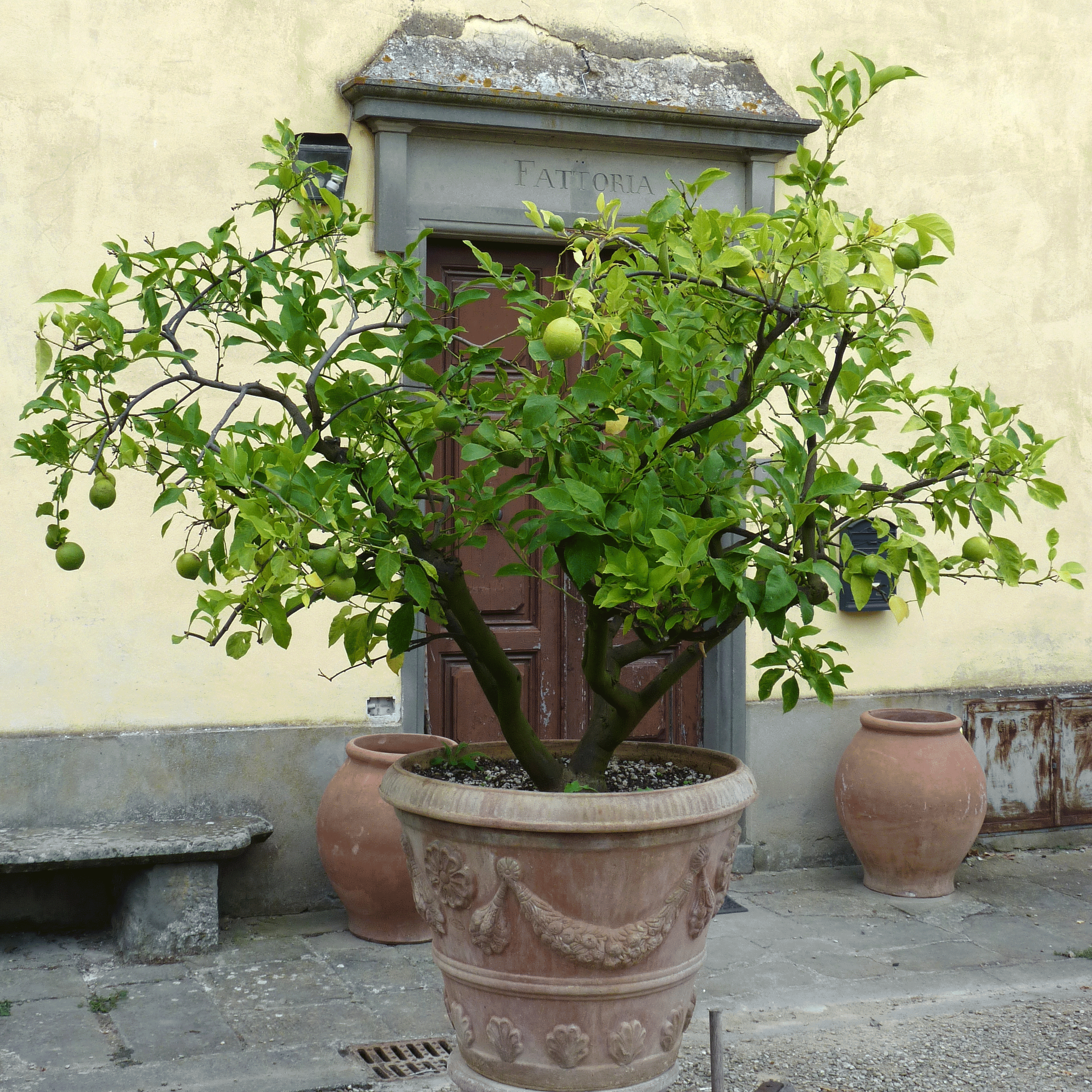 P1130144-001