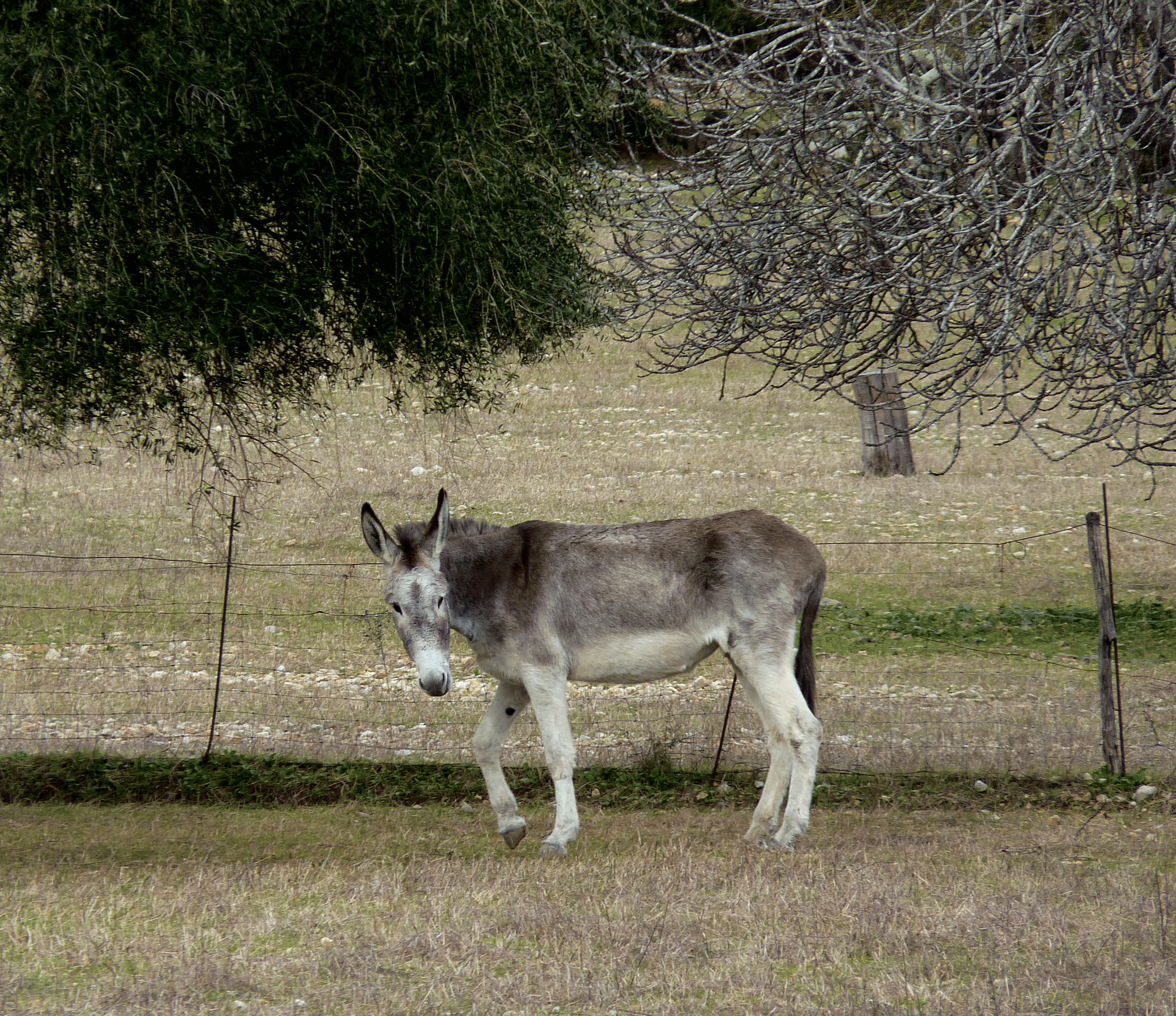 P1110180-001