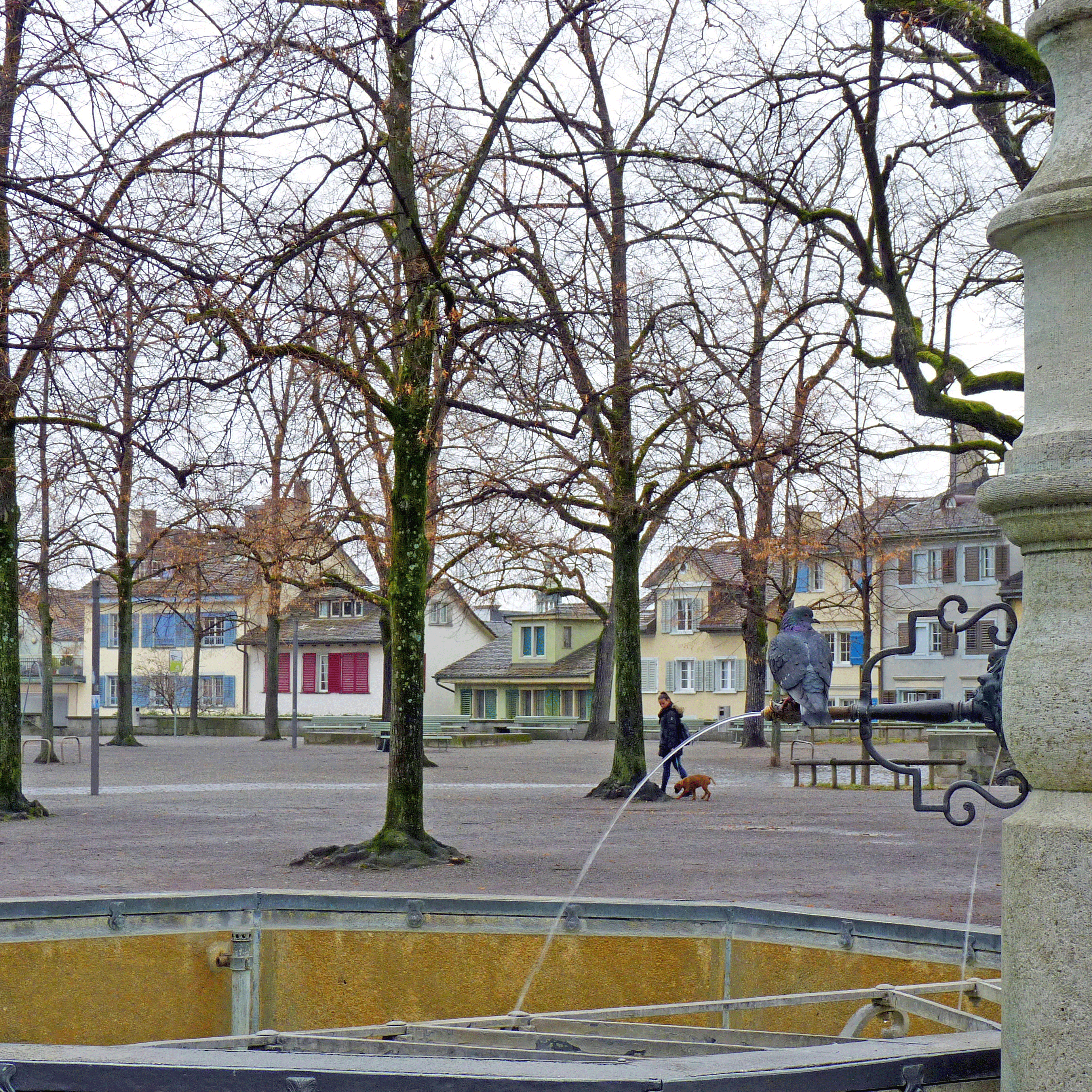 P1220446-001